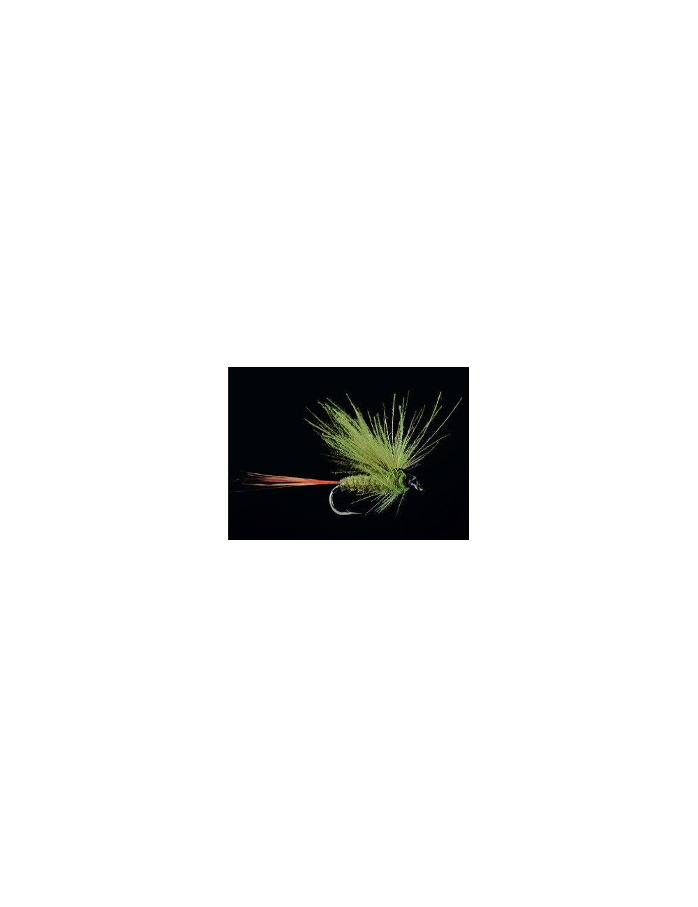 Mosca PetitJean MP14 Mosca PetitJean MP14