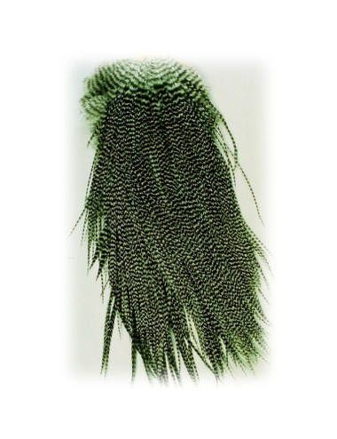 Colgaderas naturales Hoffman