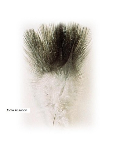 Indio de gallo leones