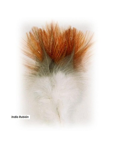 Indio de gallo leones