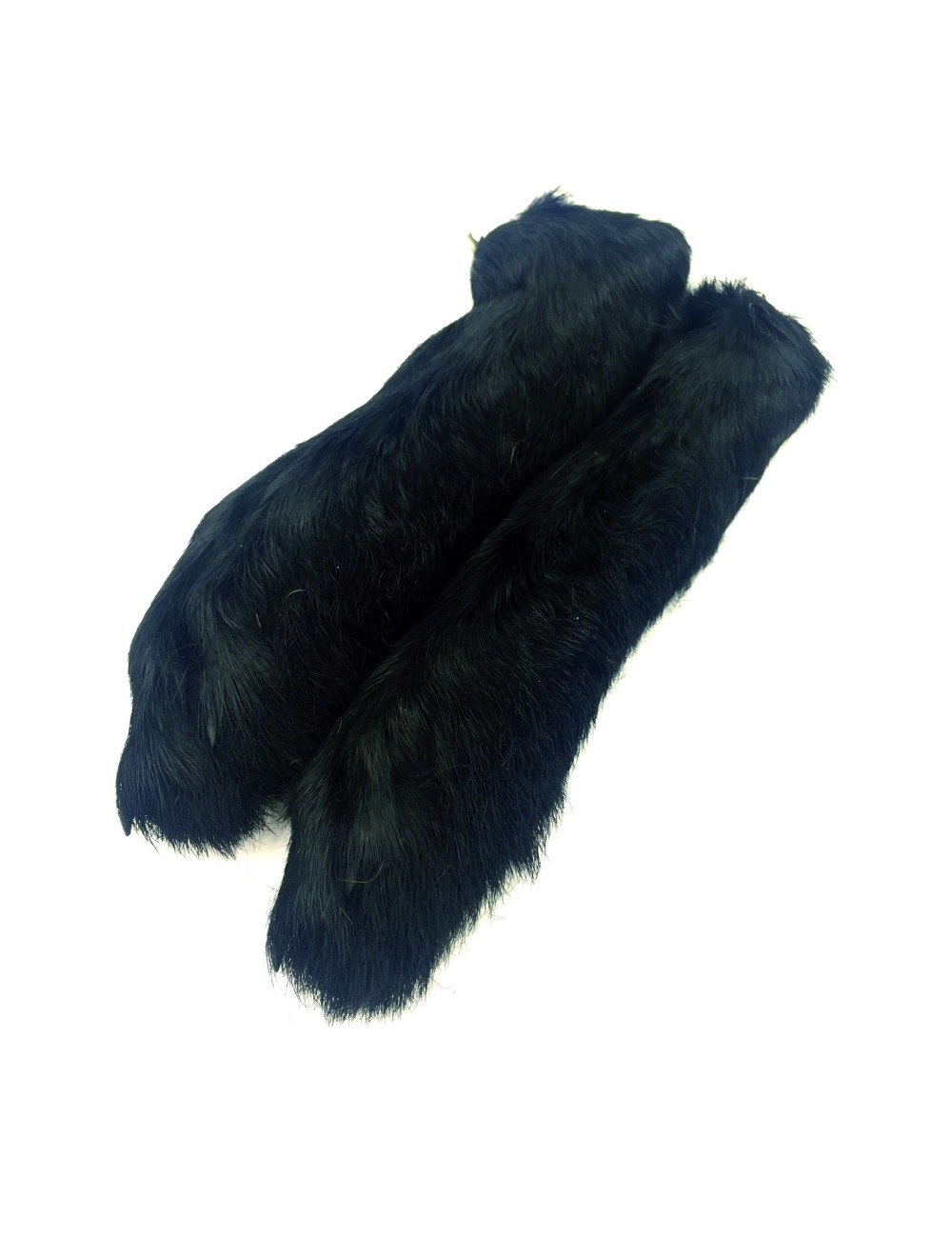 Patas de liebre ártica Patas de liebre ártica