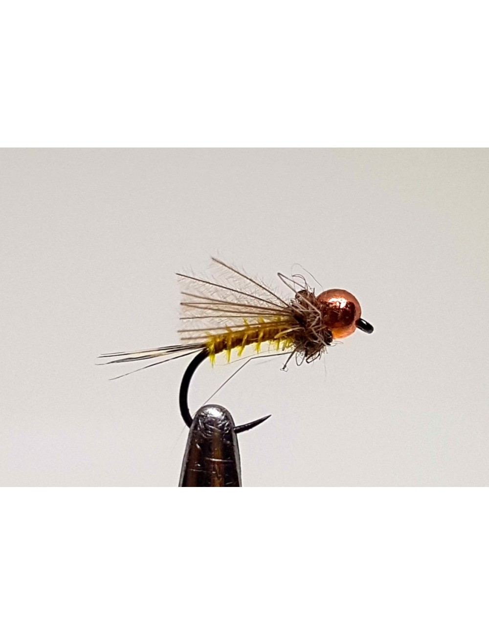 Moscas Castor S-6