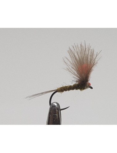 Moscas Castor S-49