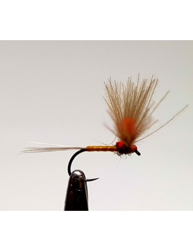 Moscas Castor S-51
