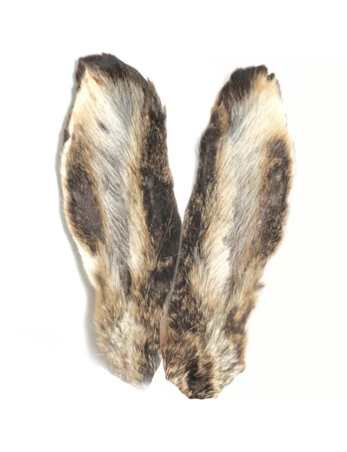 Orejas de liebre