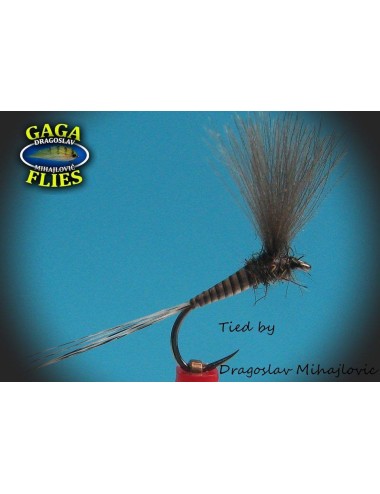 Moscas colección Gaga G-44