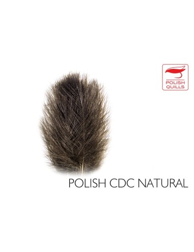 CDC Plumas de culo de pato Polish 1 Gr