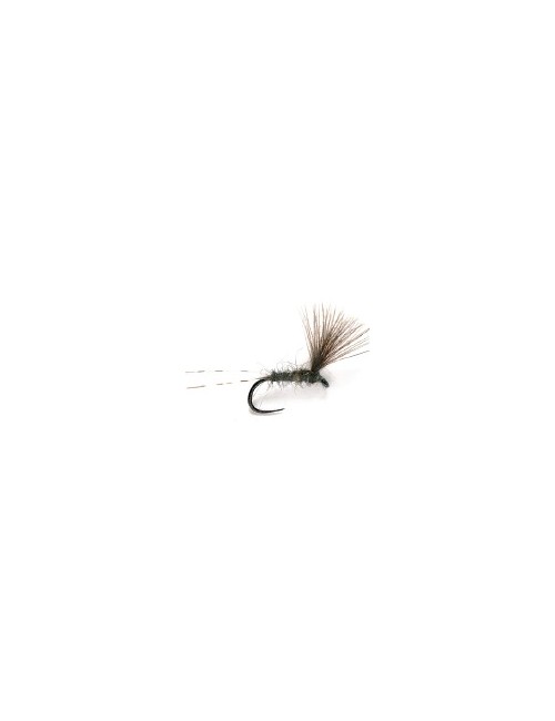 Moscas competición sin muerte Dry Flies T3