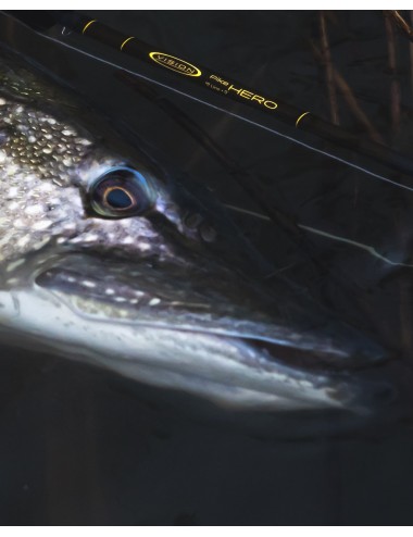 Caña Vision PIKE HERO