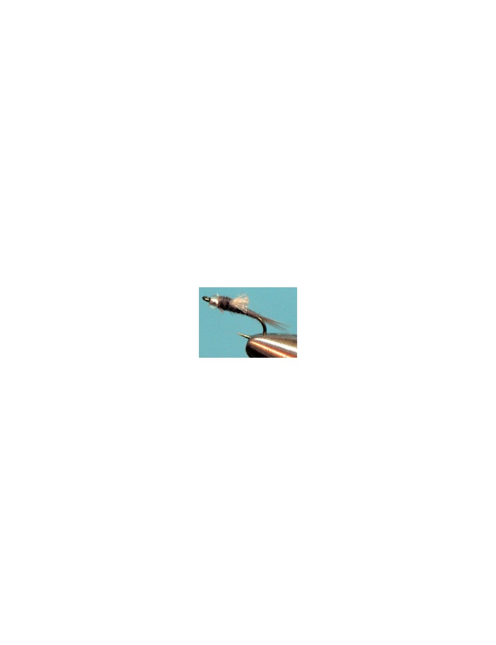 Moscas Castor U-98 Moscas Castor U-98