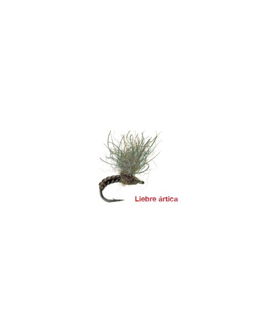 Moscas Castor U-119