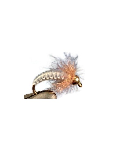 Moscas Castor U-123