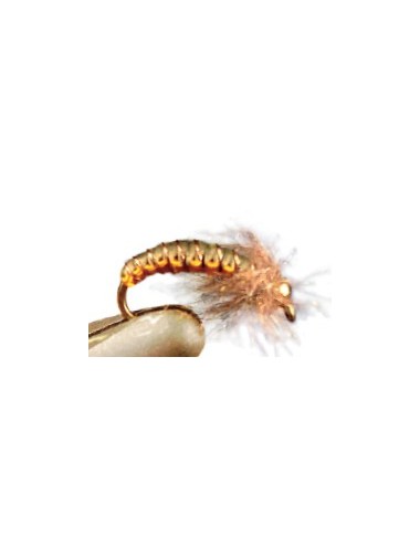 Moscas Castor U-124