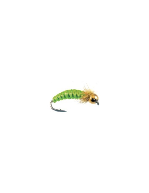 Moscas Castor U-125